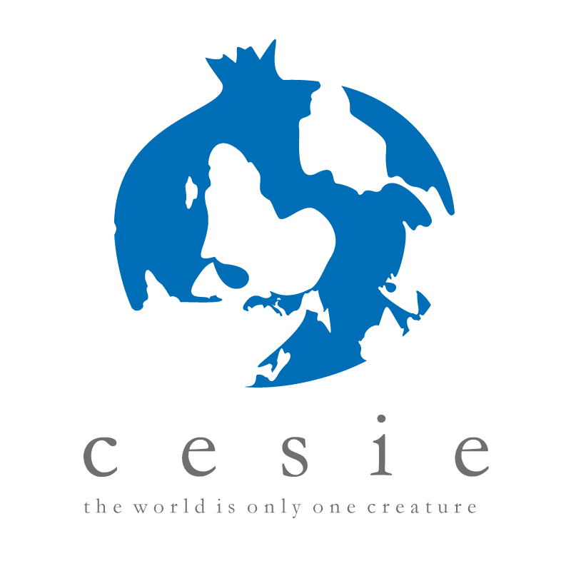 CESIE - Centro studi e iniziative europeo