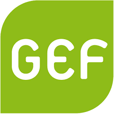 GEF - Green European Foundation