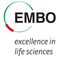 EMBO